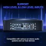 10-Inch 1000W Slim Under Seat Subwoofer with Amplifier