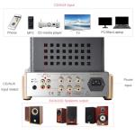 BOYUUSOUND F5 HiFi Class A Tube Amplifier