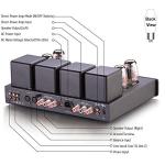 Dared Uranus Stereo Integrated Tube Amplifier 50W
