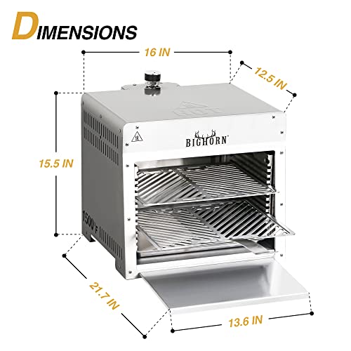 Portable Infrared Gas Grill for Quick Steak Cooking