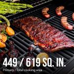 Blue Propane Gas Grill with 4 Burners and Side Burner