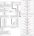 Programmable Single Axis CNC Motion Controller 40KHz