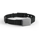 Whistle Switch GPS Dog Health Tracker and Monitor