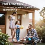 Peppermint Essential Oil for Home Fragrance