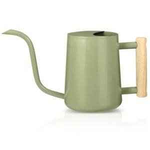 Sage Stainless Steel Indoor Watering Can 35oz