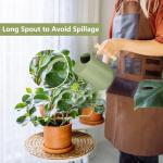 Sage Stainless Steel Indoor Watering Can 35oz