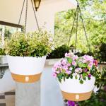 2 Pack White Hanging Planters with Hooks