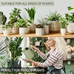 Sage Stainless Steel Indoor Watering Can 35oz