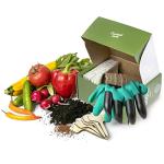 Vegetable Seed Growing Kit with Tools and Pots