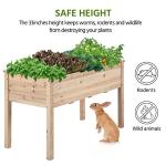 Elevated Wooden Garden Bed for Easy Planting