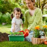 10-Pack Reusable Seed Trays with Lids for Gardening