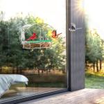 Clear Window Bird Feeder with Suction Cups