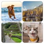 Personalized Photo Coasters – Custom Drink Mats