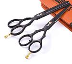 Hairdressing Scissors and Thinning Shears Set