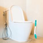 Long Reach Toilet Wiper for Easy Bathroom Care