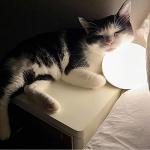 Smart Dimmable LED Table Lamp with Voice Control