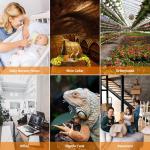 Temtop Indoor Digital Thermometer and Hygrometer