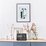 Temtop 7-in-1 Air Quality Monitor and Tester