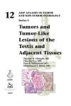Testis Tumors and Lesions Atlas Guide