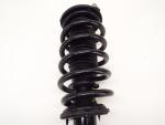 Tesla Model 3 Front Right Shock Strut Coil