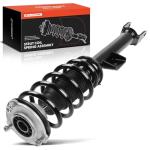 Front Passenger Strut & Coil Spring for Tesla Model 3
