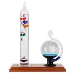 Lily's Home Galileo Thermometer and Glass Barometer