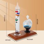 Lily's Home Galileo Thermometer and Glass Barometer