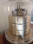 Barigo German Weather Station with Hygrometer and Barometer