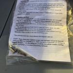 Weems & Plath Atlantis Barometer in Polished Brass