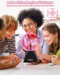 Theefun 6-Inch Touch Sensitive Plasma Ball