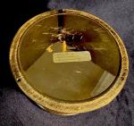 Gold Tone Ship Barometer by Weems & Plath
