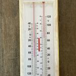 Taylor 5460 Indoor/Outdoor Tracking Thermometer