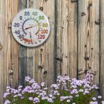 Taylor Metal Wall Thermometer and Hygrometer - Easy Read