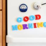 La Crosse Indoor/Outdoor Magnetic Analog Thermometer - Blue