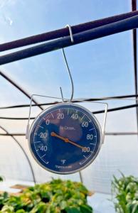 La Crosse 5-Inch Blue Dial Thermometer