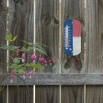 La Crosse Capillary 8" Indoor/Outdoor Thermometer