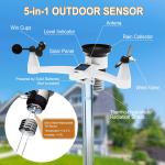Indoor/Outdoor Weather Station with Rain and Wind