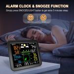 Indoor/Outdoor Weather Station with Rain and Wind