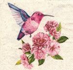 Kolibri Hummingbird Paper Beverage Napkins - Set of 2