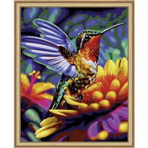 Kolibri Paint by Number Kit with Frame