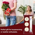 Lily's Home Weather Station with Galileo Thermometer