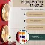 Analog Weather Station with Galileo Thermometer and Clock