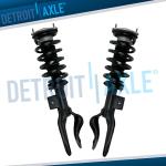 Tesla Model Y Struts with Coil Spring Assembly