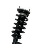 Tesla Model Y Struts with Coil Spring Assembly