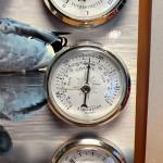 Wooden Mallard Duck Weather Station with Instruments