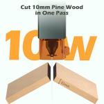Genmitsu 10W Precision Laser Engraver for DIY