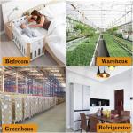 Digital Waterproof Fridge and Freezer Thermometer Set