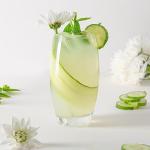 Set of 6 LAV Highball Drinking Glasses