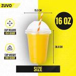 Reusable 16 OZ Plastic Smoothie Cups with Lids