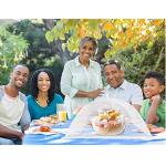 17-Inch Mesh Food Cover Tent - 6 Pack